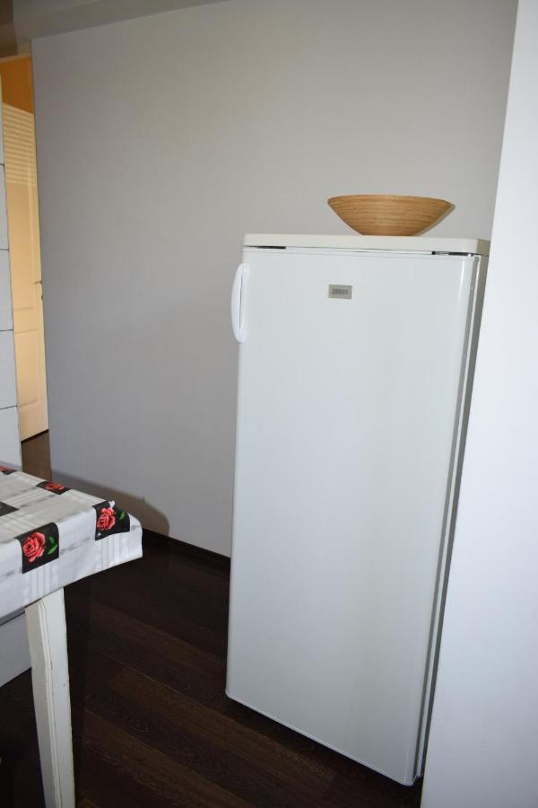 Apartament Transilvaniei Rhbm Baia Mare Eksteriør billede